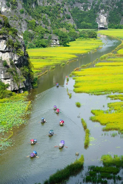 Turistické jezdit lodí pro cestování okružní rýže pole na řece "N — Stock fotografie