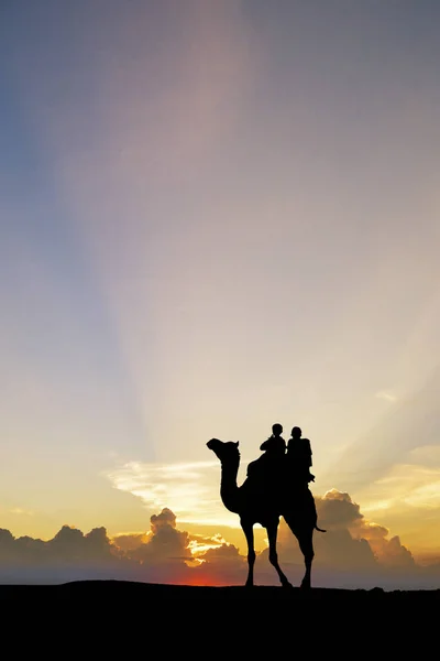 シルエットを見るインドのタール砂漠をラクダと歩いて、 — ストック写真
