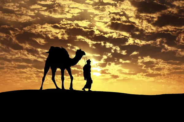 走与骆驼通过塔尔沙漠在印度, 显示剪影 — 图库照片