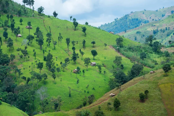 Grüne Reisterrassenfelder in nan, Thailand. — Stockfoto