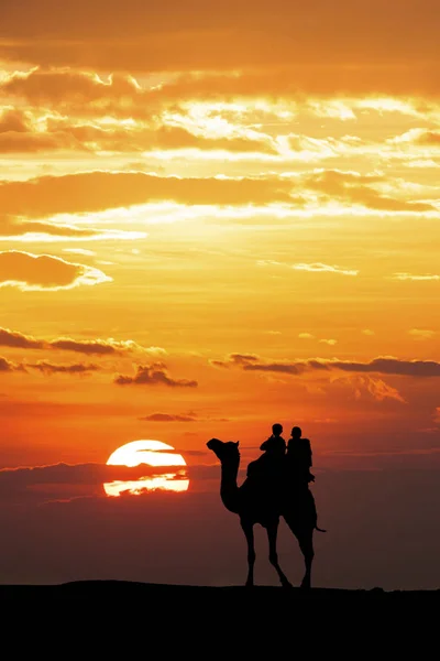 Promenade avec chameau à travers le désert de Thar en Inde, Montrer la silhouette — Photo