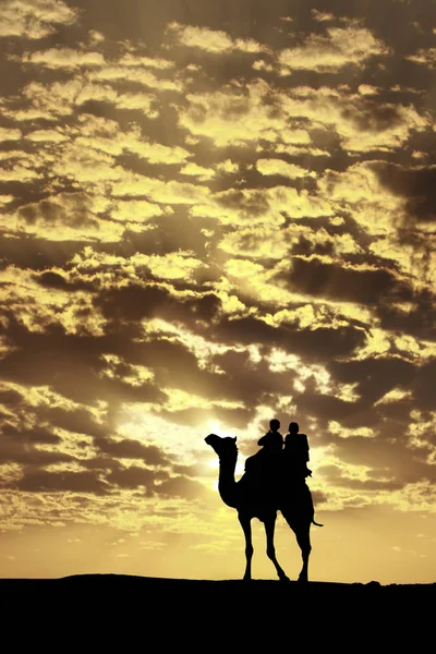 Promenade avec chameau à travers le désert de Thar en Inde, Montrer la silhouette — Photo