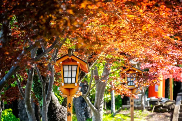 Lámpara Japonesa Pasarela Templo Con Arce Rojo Alrededor — Foto de Stock