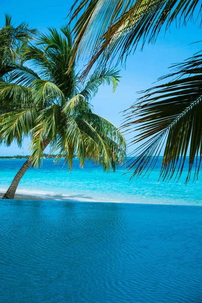 Basen Pobliżu Morza Widoku Kokosowe Drzewo Dzień Czyste Niebo — Zdjęcie stockowe