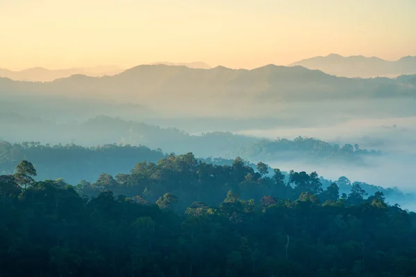 Foggy Horské Pásmo Deštném Pralese Malebné — Stock fotografie