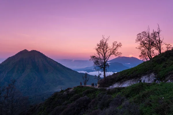 Horské Mlžné Včas Twilight Fialová Barva — Stock fotografie