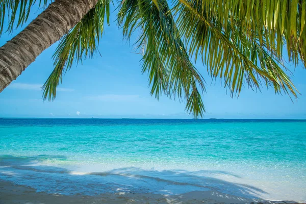 Fala Plaża Tropikalne Morze Białym Piaskiem Kokos Liść Krawędzi Ramki — Zdjęcie stockowe
