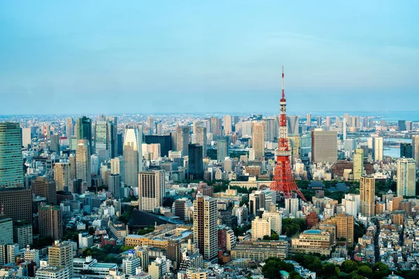 Tokio Japón Mayo Escena Nocturna Del Paisaje Urbano Tokio Desde —  Fotos de Stock