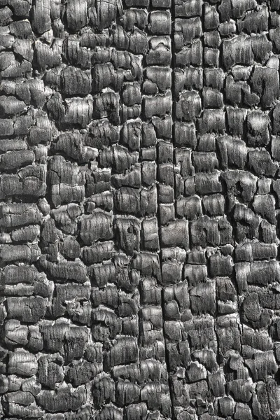 Surface Wood Burnt Texture Coal Burn Background — Stock Photo, Image