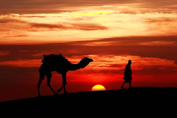 Promenade avec chameau à travers le désert de Thar en Inde, Montrer la silhouette — Photo