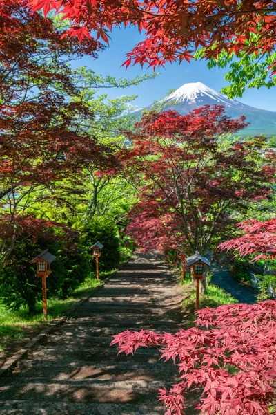 Pozadí Hory Fuji Ochoz Červený Javor Okolí — Stock fotografie