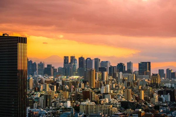 Vista Shinjuku Fuji Montaña Japón —  Fotos de Stock