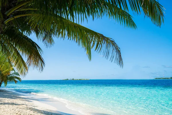 Fala Plaża Tropikalne Morze Białym Piaskiem Kokos Liść Krawędzi Ramki — Zdjęcie stockowe