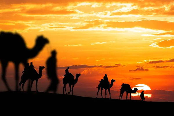 Caravan walking with camel through Thar Desert in India, Show si — Stock Photo, Image