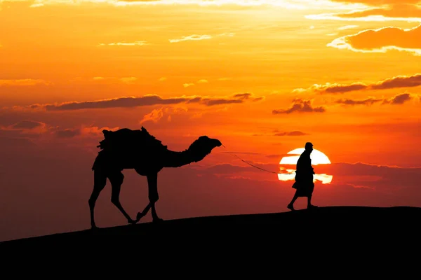 Caminhando com camelo através do deserto de Thar, na Índia, mostrar silhueta Fotos De Bancos De Imagens