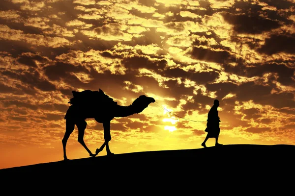 Walking with camel through Thar Desert in India, Show silhouette — Stock Photo, Image