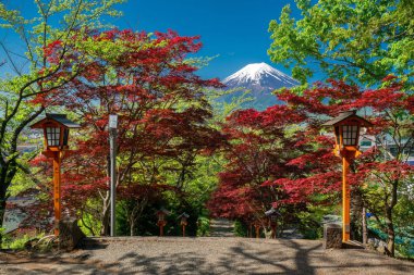 Fuji Dağı arka plan ve geçit ile kırmızı akçaağaç