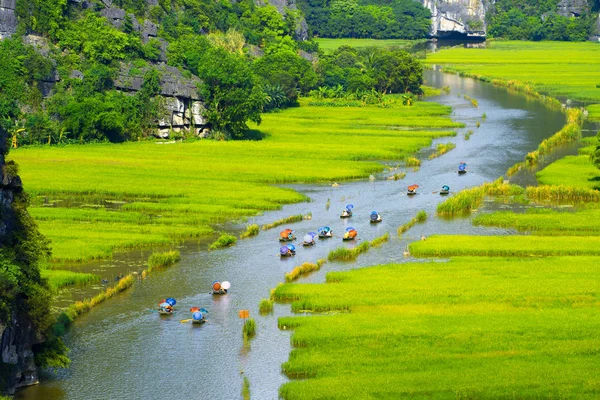 Barco de paseo turístico para ver la vista de viaje Campo de arroz en el río "N —  Fotos de Stock