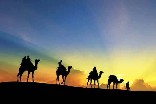 大篷车带着骆驼走过印度的塔尔沙漠, 显示 si — 图库照片
