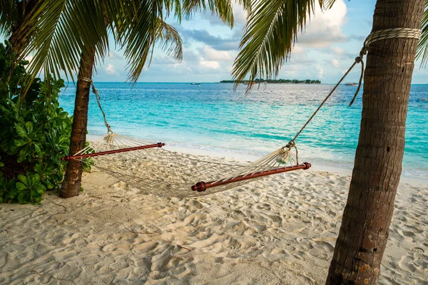 hammock on a palm tree near sea ocean sky shore sand