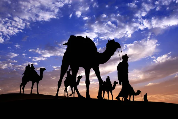 Caravan Walking with camel through Thar Desert in India, Show si Stock Image