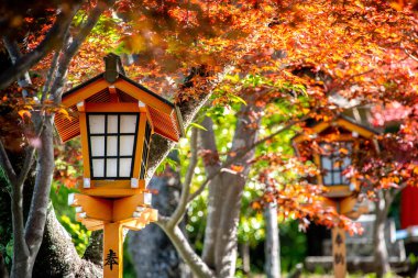 Tapınak ile kırmızı akçaağaç geçit Japon lamba