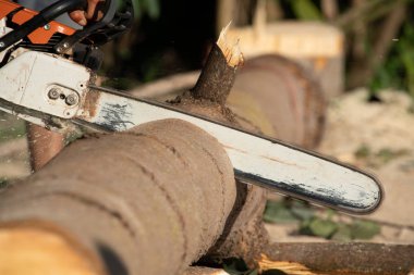 İşçi kesme günlük chainsaw ile