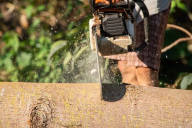 İşçi kesme günlük chainsaw ile