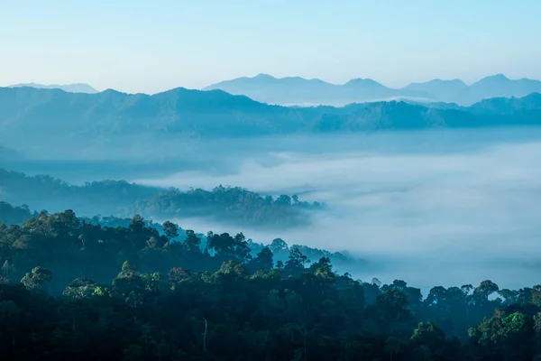 Foggy Horské Pásmo Deštném Pralese Malebné — Stock fotografie