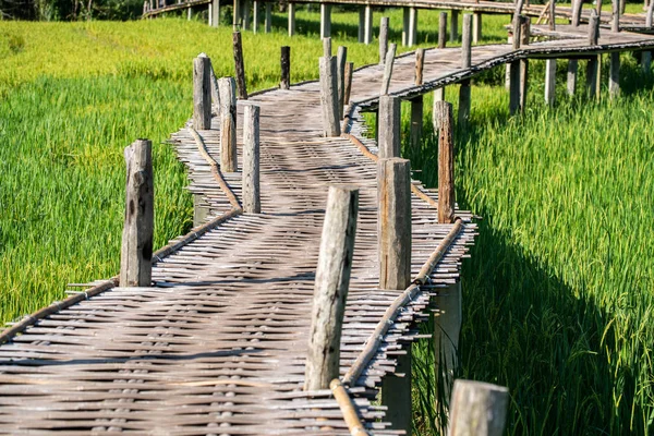 Tejido Bambú Camino Camino Puente Sobre Campo Arroz — Foto de Stock