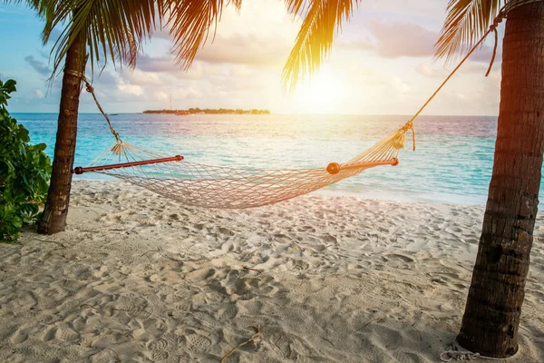 棕榈树上的吊床和日落的眩光附近的海洋海洋海岸沙滩 免版税图库图片