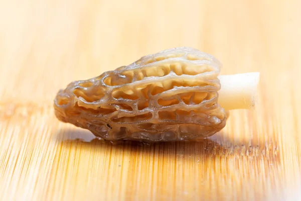 Morchella esculenta fresca en tabla de cortar . —  Fotos de Stock