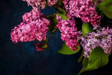 Koyu bir vintage arka plan üzerinde leylak buketi