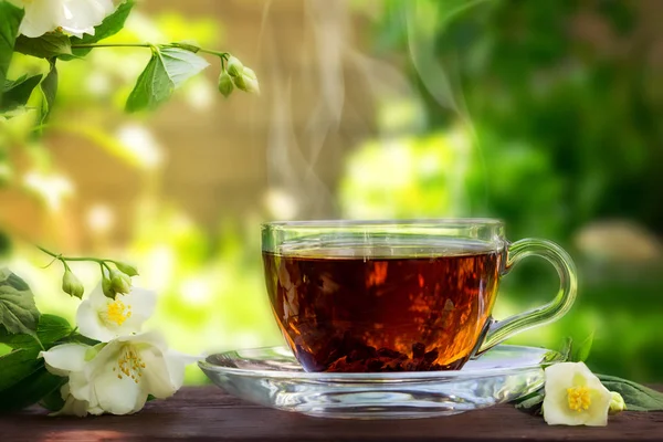 Üveg csésze tea és jázmin gally a fából készült asztal, a homályos — Stock Fotó