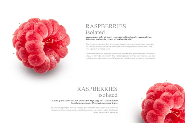 树莓浆果孤立在白色背景上。设计元素 — 图库照片