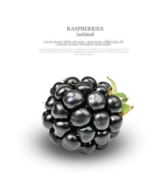 BlackBerry geïsoleerd op een witte achtergrond. Food concept. Element — Stockfoto