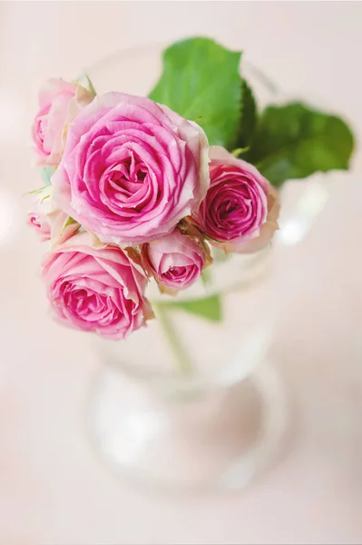 Romantic background: a branch of roses in a glass. A festive con — Stock Photo, Image