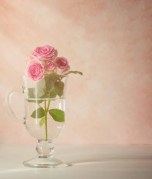 Romantyczne tło: gałąź róż w szklance. Uroczysty con — Zdjęcie stockowe