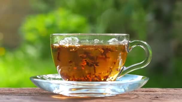 Coupe en verre avec thé chaud sur une table en bois, sur le fond du jardin. Mélanger le thé avec une cuillère à café. De la vapeur. Concept alimentaire — Video