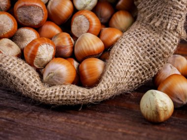Fındığın jüt poşetinde, yakın çekim, makro. Gıda consept
