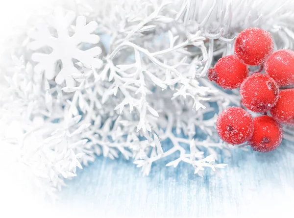 Christmas, New Year background. White spruce branches, cones — Stock Photo, Image