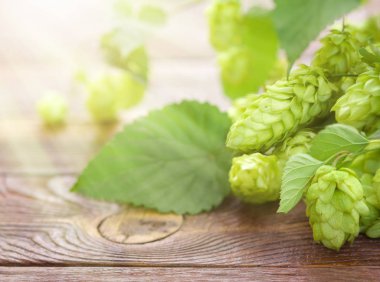 Nat 'in arka planında, tahta bir masada yeşil zıplama konileri