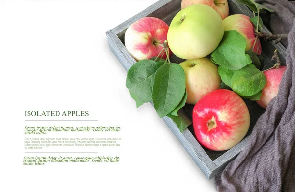 Food concept. Template for design. Isolated apples in a wooden b — ストック写真