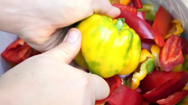 Slicing multi-colored bell pepper with a knife — ストック動画