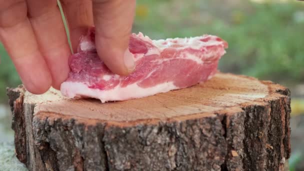 Meat chopped with an ax on a log — Wideo stockowe