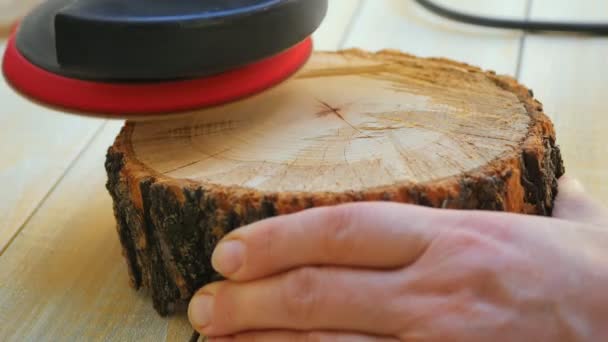 Szögcsiszolóval kivágott fa őrlése — Stock videók