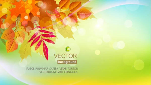 Vektorhintergrund Mit Herbstblättern Element Für Design Werbung Vorlage — Stockvektor