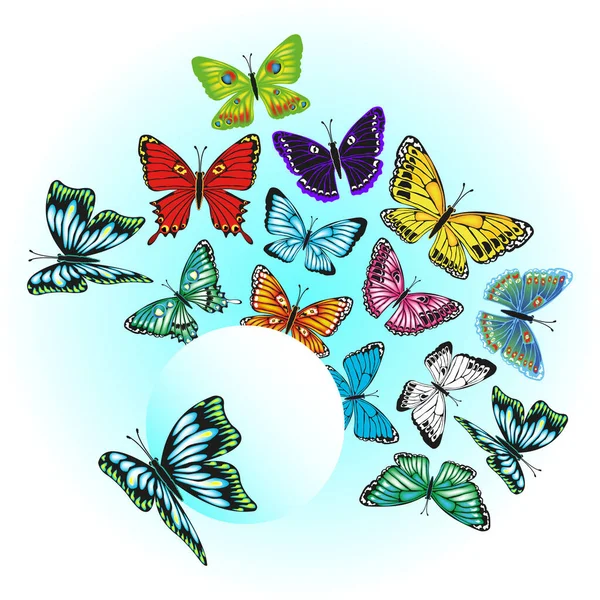 Set Bright Colored Butterflies Isolated White Background — Stock Vector