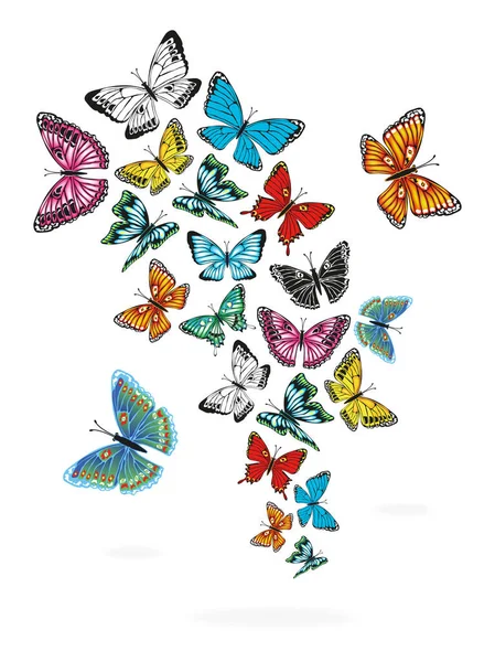 Set Bright Colored Butterflies Isolated White Background — Stock Vector