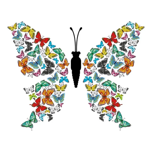 蝶は他の多色の蝶と黒と白のシルエットで構成されています — ストックベクタ